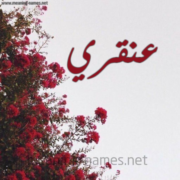 شكل 18 صوره الورد الأحمر للإسم بخط رقعة صورة اسم عنقري Anqry