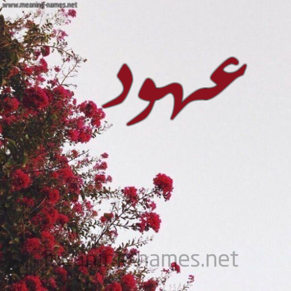 شكل 18 صوره الورد الأحمر للإسم بخط رقعة صورة اسم عهود Ohood