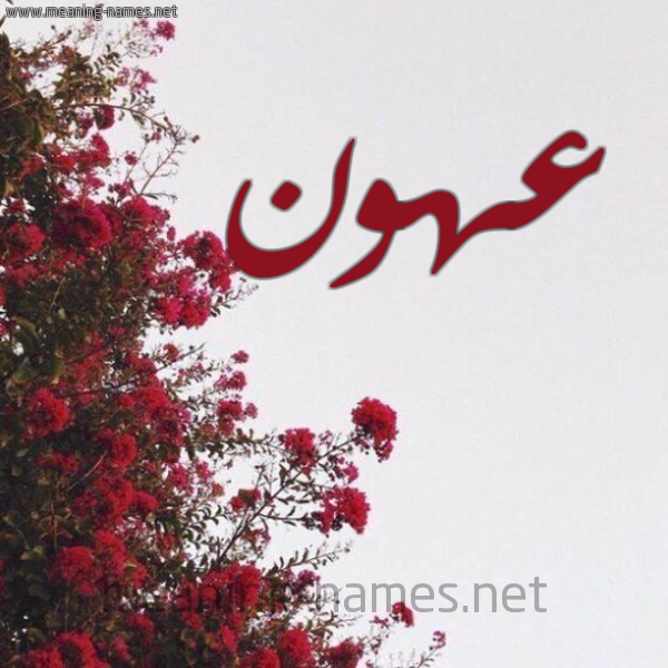 شكل 18 صوره الورد الأحمر للإسم بخط رقعة صورة اسم عهون Ahwn