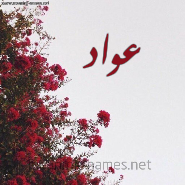 شكل 18 صوره الورد الأحمر للإسم بخط رقعة صورة اسم عواد Awad