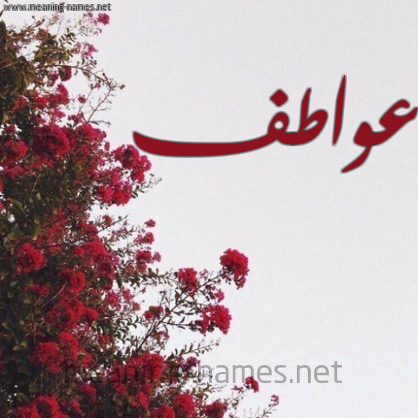 شكل 18 صوره الورد الأحمر للإسم بخط رقعة صورة اسم عواطف Awatf