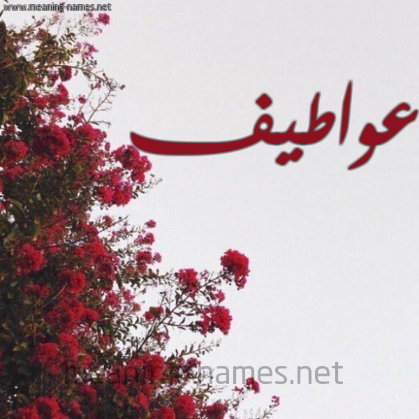 شكل 18 صوره الورد الأحمر للإسم بخط رقعة صورة اسم عواطيف Awatif