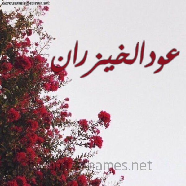 شكل 18 صوره الورد الأحمر للإسم بخط رقعة صورة اسم عودالخيزران Awdalkhyzran