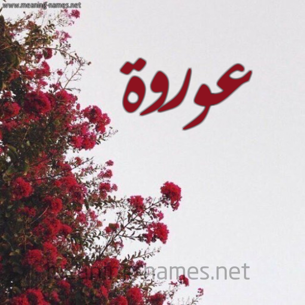 شكل 18 صوره الورد الأحمر للإسم بخط رقعة صورة اسم عوروة Orwah