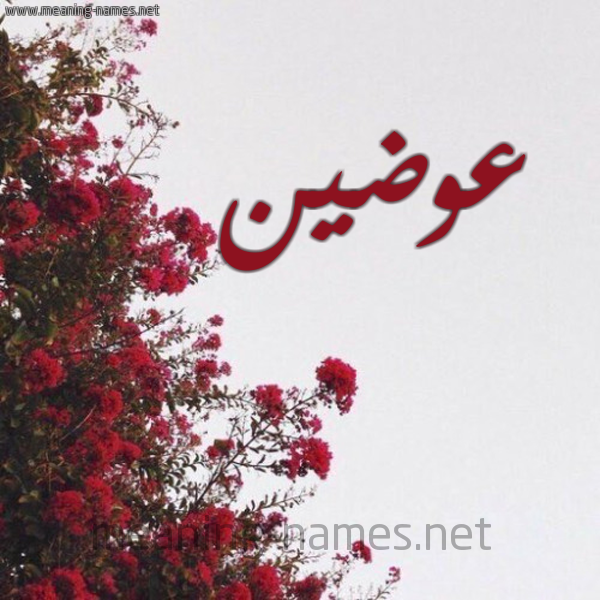 شكل 18 صوره الورد الأحمر للإسم بخط رقعة صورة اسم عوضين AwaDIN