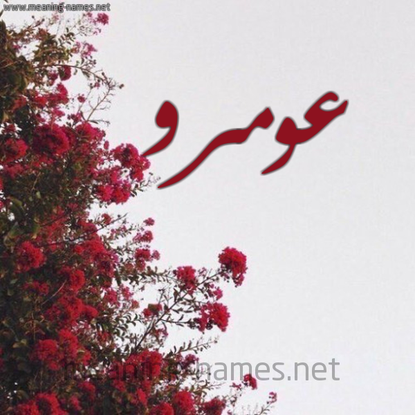 شكل 18 صوره الورد الأحمر للإسم بخط رقعة صورة اسم عومرو Amr