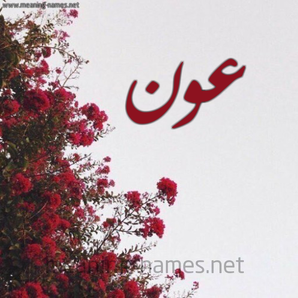 شكل 18 صوره الورد الأحمر للإسم بخط رقعة صورة اسم عون Awn