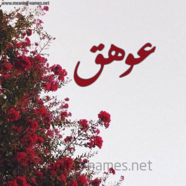 شكل 18 صوره الورد الأحمر للإسم بخط رقعة صورة اسم عوهق Awhq