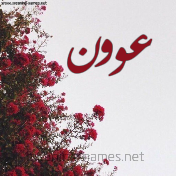 شكل 18 صوره الورد الأحمر للإسم بخط رقعة صورة اسم عوون Awn