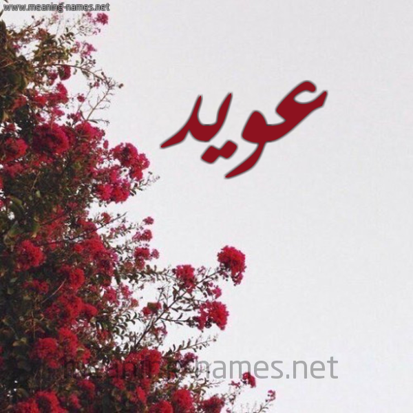 شكل 18 صوره الورد الأحمر للإسم بخط رقعة صورة اسم عويد Awyd