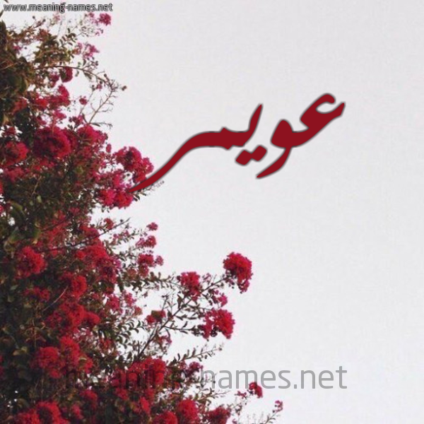 شكل 18 صوره الورد الأحمر للإسم بخط رقعة صورة اسم عويمر Aoimer