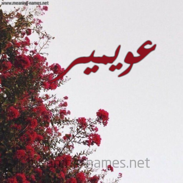 شكل 18 صوره الورد الأحمر للإسم بخط رقعة صورة اسم عويمير Oweimar