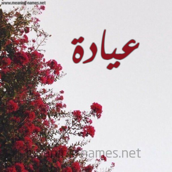 شكل 18 صوره الورد الأحمر للإسم بخط رقعة صورة اسم عيادة Ayad'h