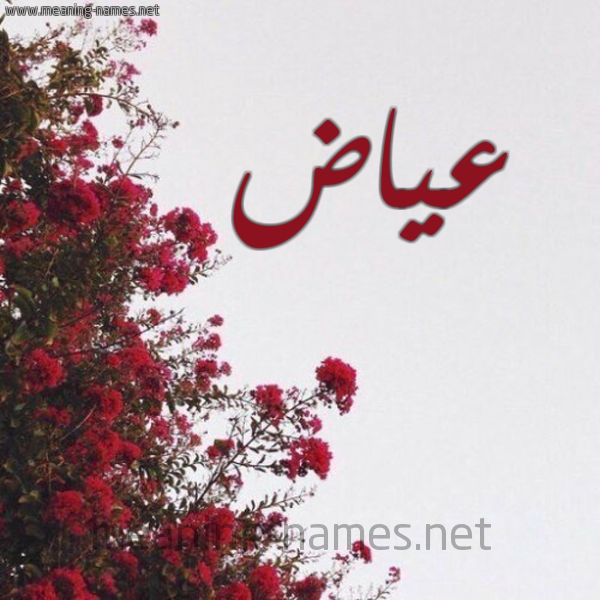 شكل 18 صوره الورد الأحمر للإسم بخط رقعة صورة اسم عياض Ayad