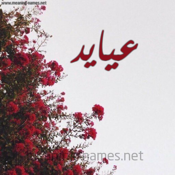 شكل 18 صوره الورد الأحمر للإسم بخط رقعة صورة اسم عيايد Ayad