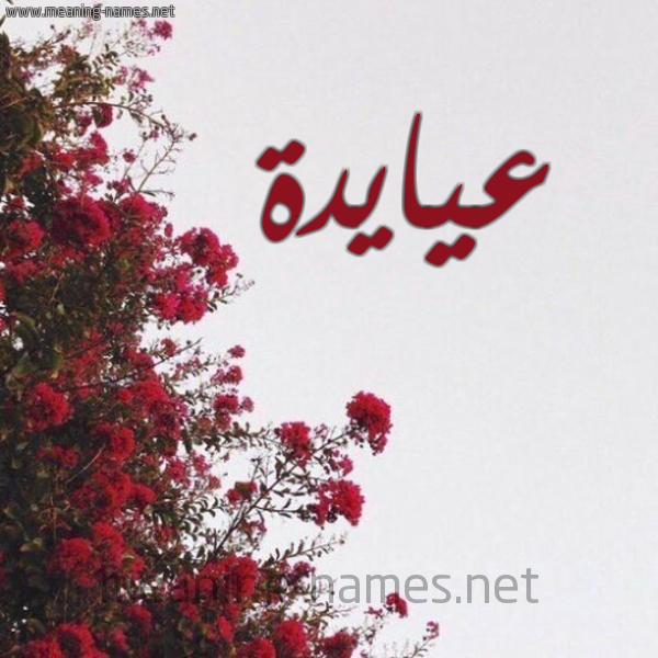 شكل 18 صوره الورد الأحمر للإسم بخط رقعة صورة اسم عيايدة Aida