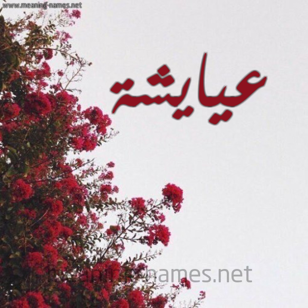 شكل 18 صوره الورد الأحمر للإسم بخط رقعة صورة اسم عيايشة Aisha