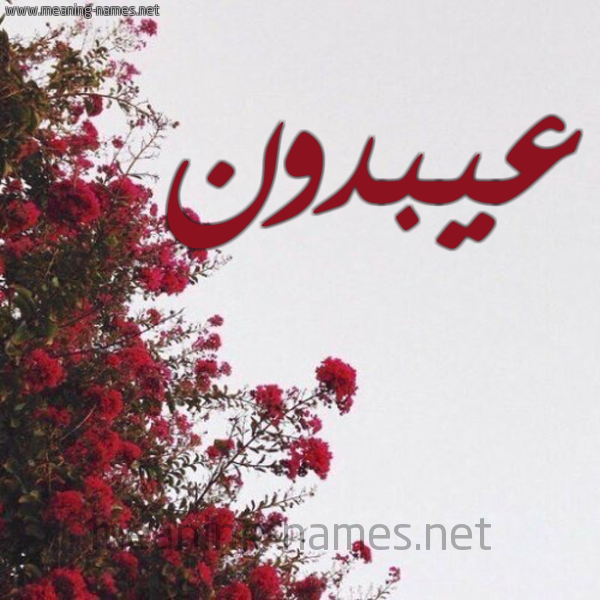 شكل 18 صوره الورد الأحمر للإسم بخط رقعة صورة اسم عيبدون Abdoun