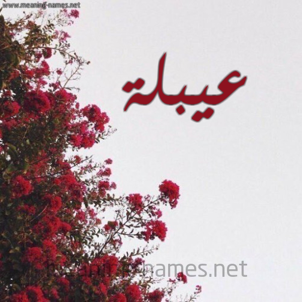 شكل 18 صوره الورد الأحمر للإسم بخط رقعة صورة اسم عيبلة Abla