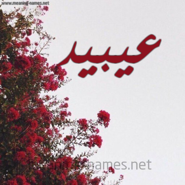 شكل 18 صوره الورد الأحمر للإسم بخط رقعة صورة اسم عيبيد Obaid