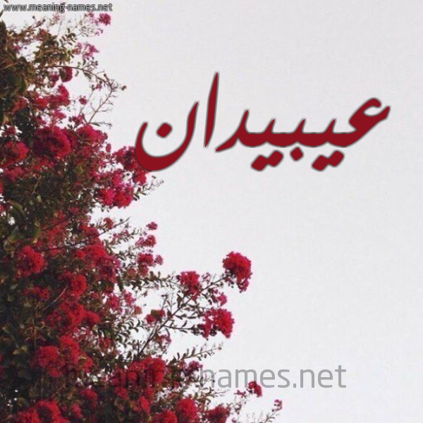شكل 18 صوره الورد الأحمر للإسم بخط رقعة صورة اسم عيبيدان Obeidan
