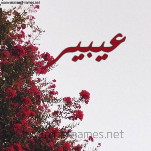 شكل 18 صوره الورد الأحمر للإسم بخط رقعة صورة اسم عيبير Abeer