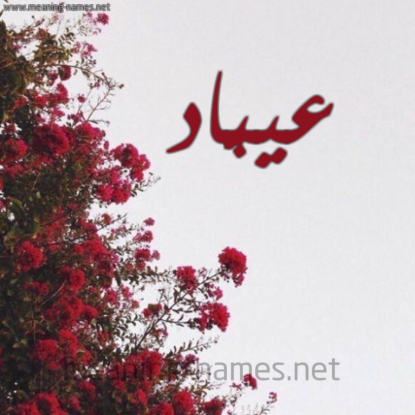 شكل 18 صوره الورد الأحمر للإسم بخط رقعة صورة اسم عيبَّاد Abbad