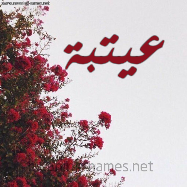 شكل 18 صوره الورد الأحمر للإسم بخط رقعة صورة اسم عيتبة Otba