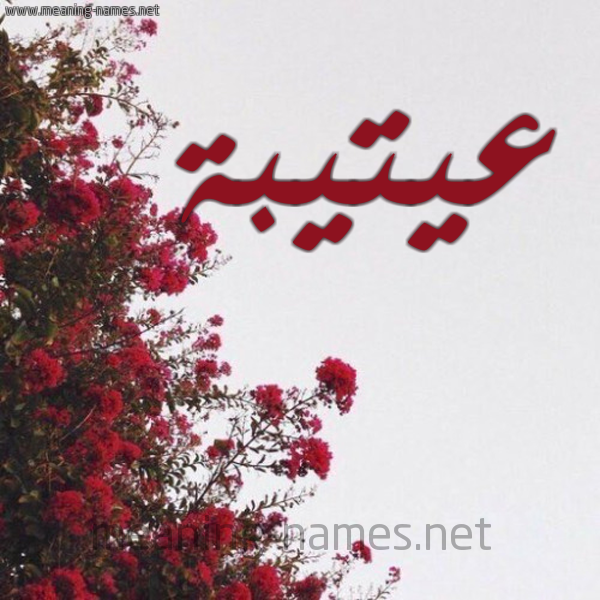 شكل 18 صوره الورد الأحمر للإسم بخط رقعة صورة اسم عيتيبة Otaiba