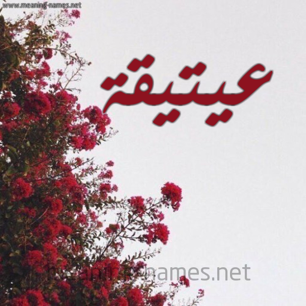شكل 18 صوره الورد الأحمر للإسم بخط رقعة صورة اسم عيتيقة Atiqah