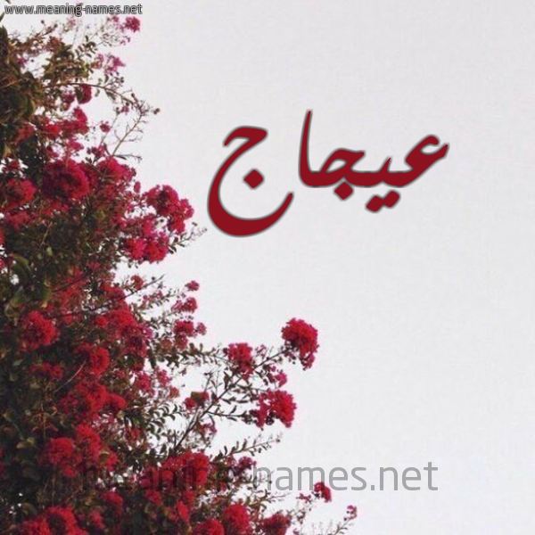 شكل 18 صوره الورد الأحمر للإسم بخط رقعة صورة اسم عيجاج Ajaj