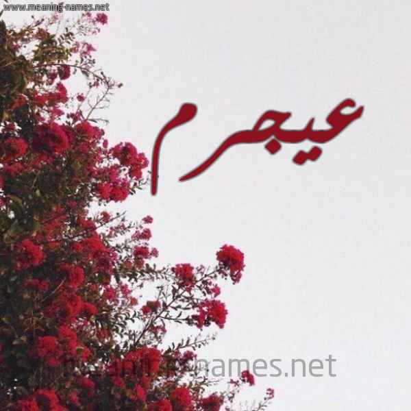 شكل 18 صوره الورد الأحمر للإسم بخط رقعة صورة اسم عيجرم Ajram