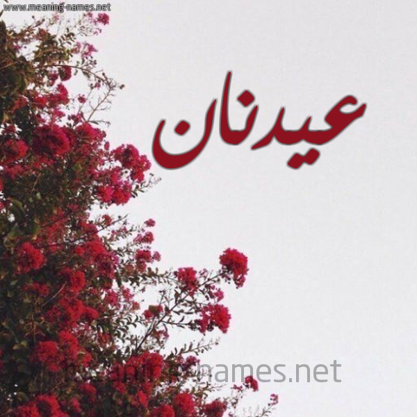 شكل 18 صوره الورد الأحمر للإسم بخط رقعة صورة اسم عيدنان Adnan