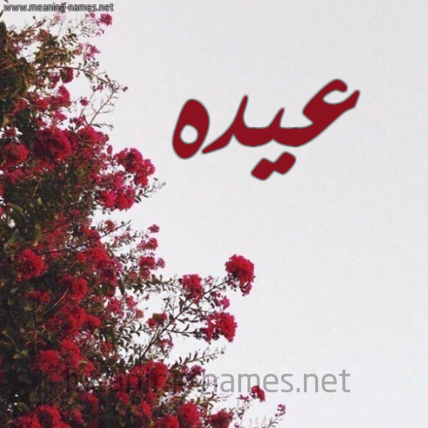 شكل 18 صوره الورد الأحمر للإسم بخط رقعة صورة اسم عيده Aydh
