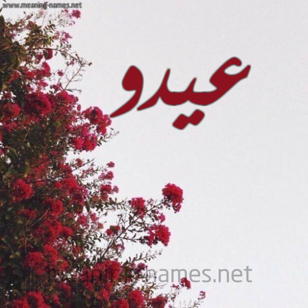 شكل 18 صوره الورد الأحمر للإسم بخط رقعة صورة اسم عيدو AIDO