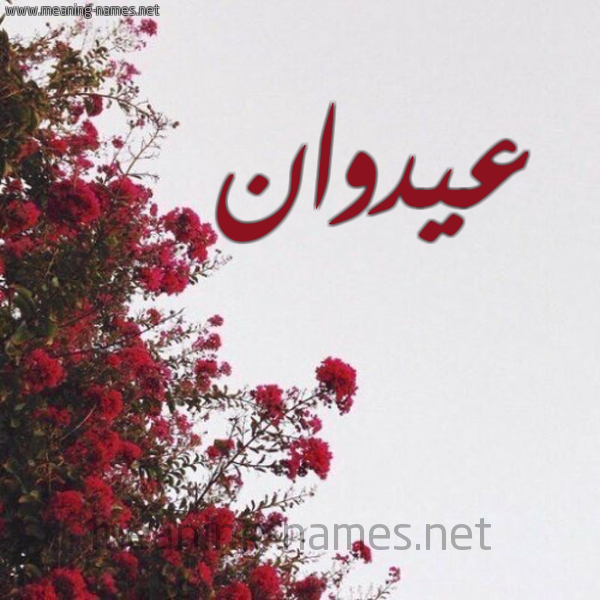شكل 18 صوره الورد الأحمر للإسم بخط رقعة صورة اسم عيدوان Adwan