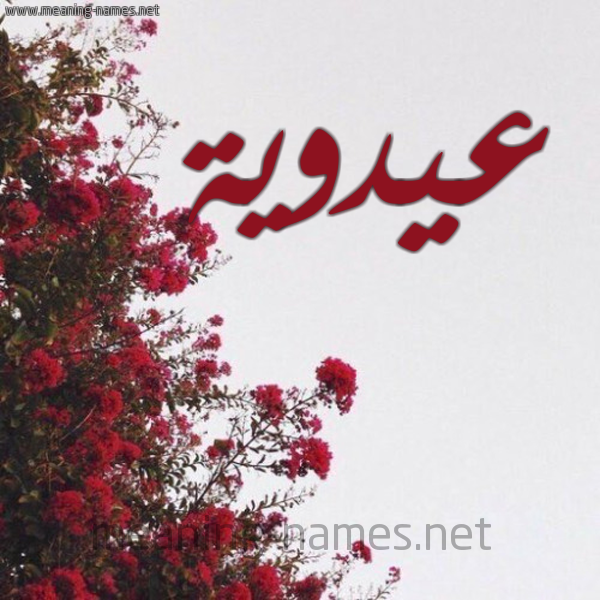 شكل 18 صوره الورد الأحمر للإسم بخط رقعة صورة اسم عيدوية Adaweyyah