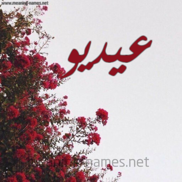 شكل 18 صوره الورد الأحمر للإسم بخط رقعة صورة اسم عيديو Eido