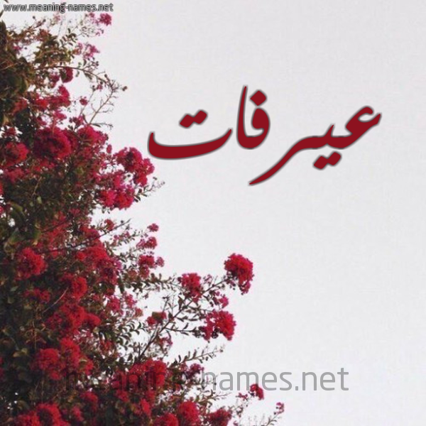 شكل 18 صوره الورد الأحمر للإسم بخط رقعة صورة اسم عيرفات Arafat