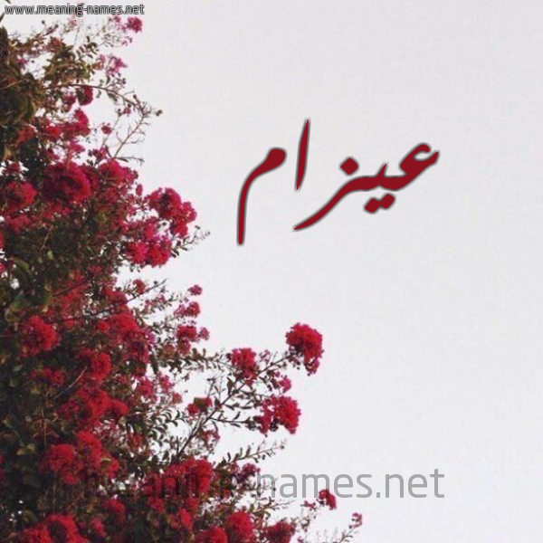 صورة اسم عيزام Azam شكل 18 صوره الورد الأحمر للإسم بخط رقعة