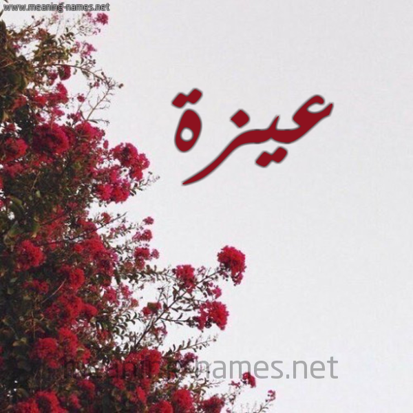 شكل 18 صوره الورد الأحمر للإسم بخط رقعة صورة اسم عيزة Azza