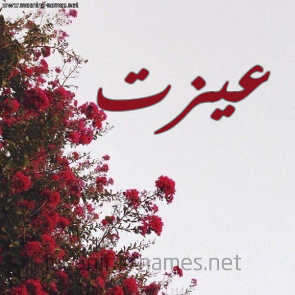 شكل 18 صوره الورد الأحمر للإسم بخط رقعة صورة اسم عيزت Ezzat