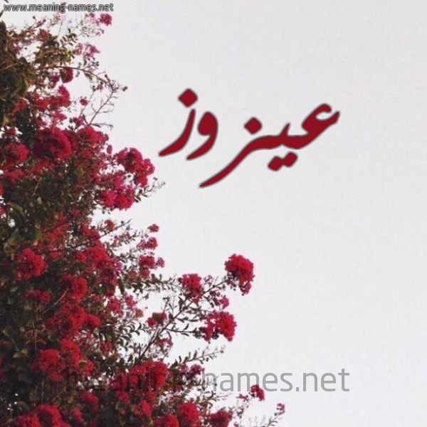 شكل 18 صوره الورد الأحمر للإسم بخط رقعة صورة اسم عيزوز Azzouz