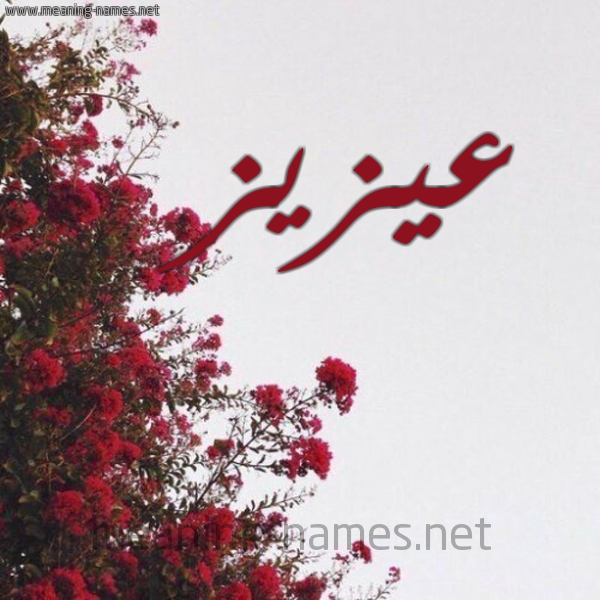 شكل 18 صوره الورد الأحمر للإسم بخط رقعة صورة اسم عيزيز Aziz