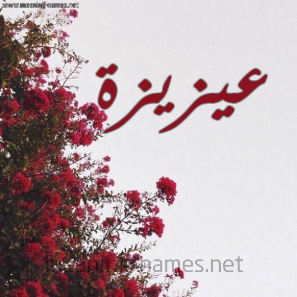 شكل 18 صوره الورد الأحمر للإسم بخط رقعة صورة اسم عيزيزة Aziza