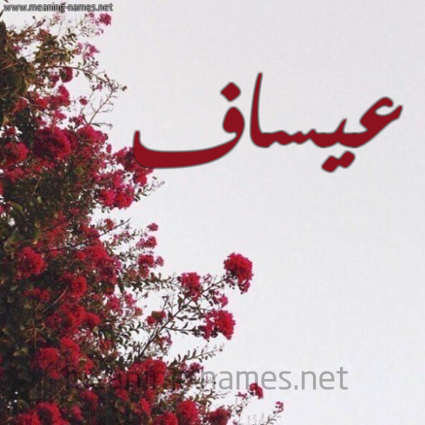 شكل 18 صوره الورد الأحمر للإسم بخط رقعة صورة اسم عيساف Assaf