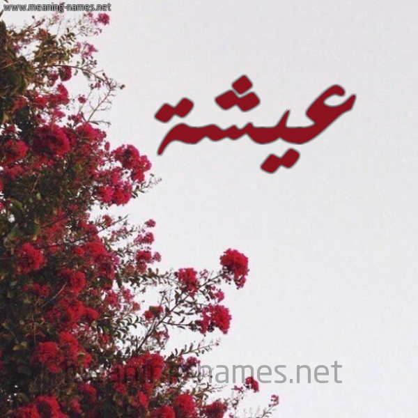 شكل 18 صوره الورد الأحمر للإسم بخط رقعة صورة اسم عيشة AISHH