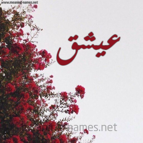 شكل 18 صوره الورد الأحمر للإسم بخط رقعة صورة اسم عيشق Ashq