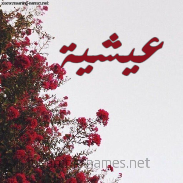 شكل 18 صوره الورد الأحمر للإسم بخط رقعة صورة اسم عيشية Aisha