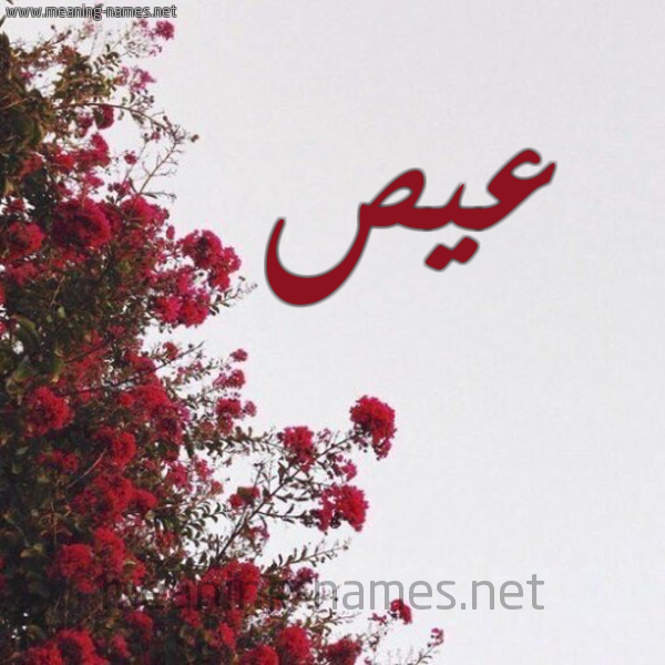شكل 18 صوره الورد الأحمر للإسم بخط رقعة صورة اسم عيص Ays